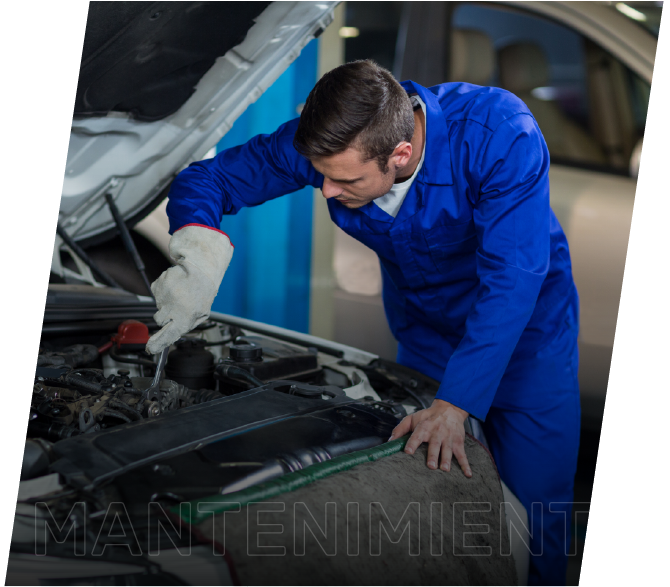 Taniro Medina García